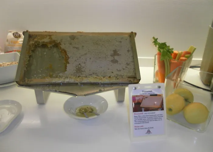 Oxygen Lifestyle Ξενοδοχείο Viserbella di Rimini