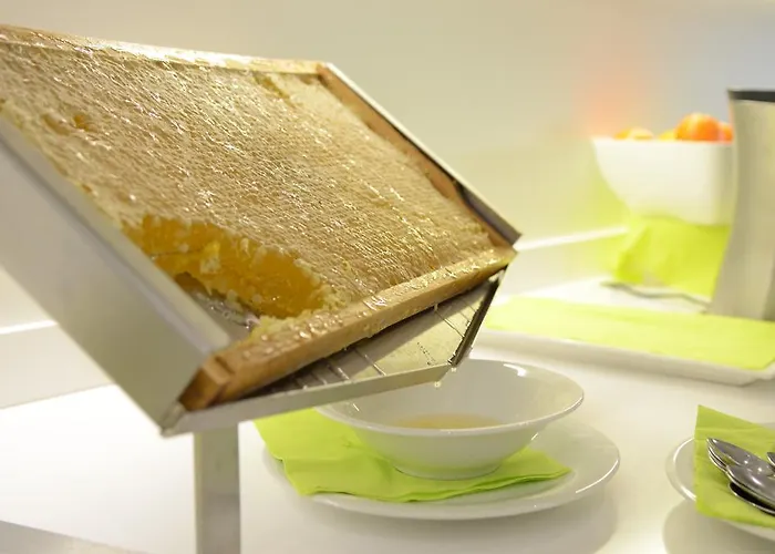 호텔 Oxygen Lifestyle Viserbella di Rimini