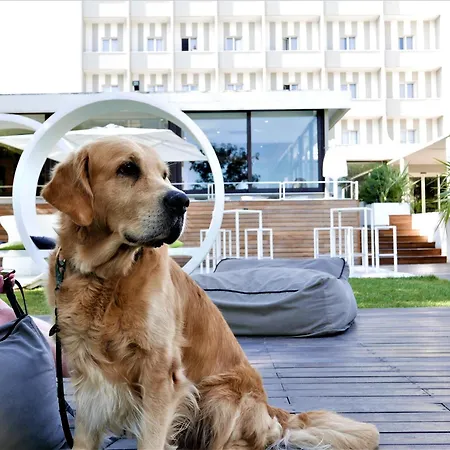 Hotel Oxygen Lifestyle 4*