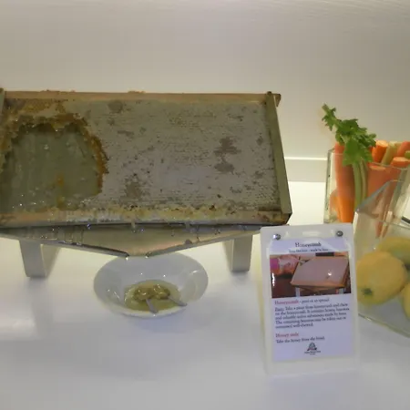 Oxygen Lifestyle Ξενοδοχείο Viserbella di Rimini