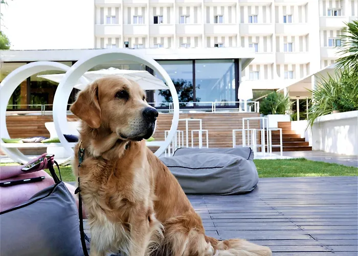 Hotel Oxygen Lifestyle 4*